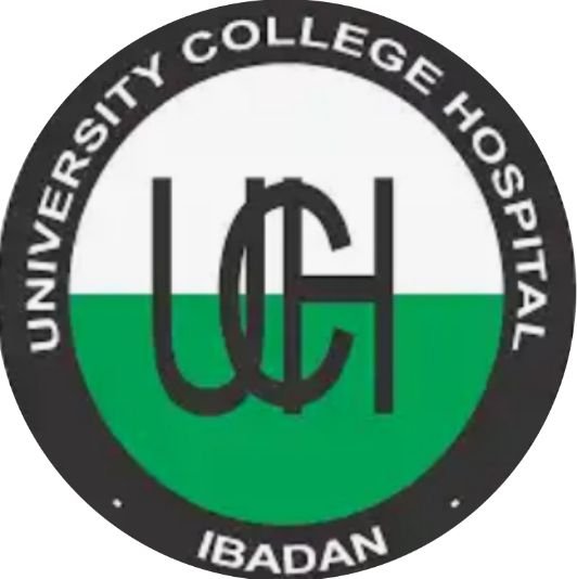 UCH Ibadan School of Nursing Admission Form 2024/2025 & How to Apply