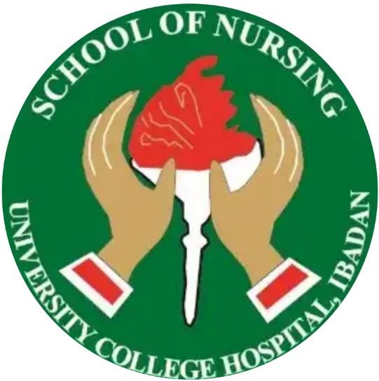 UCH Ibadan School of Nursing Admission Form 2024/2025 & How to Apply